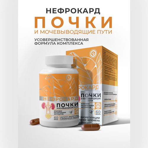 НЕФРОКАРД НЕОЛАЙФ 60 капсул